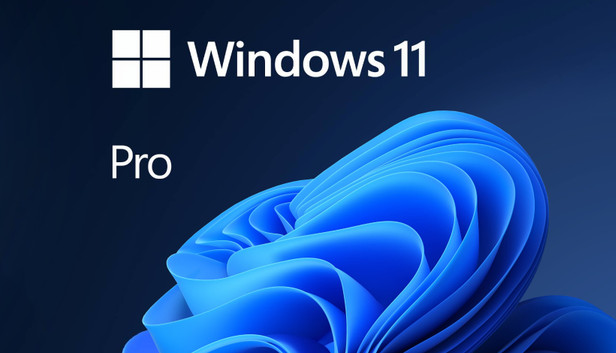 Windows 11 Pro